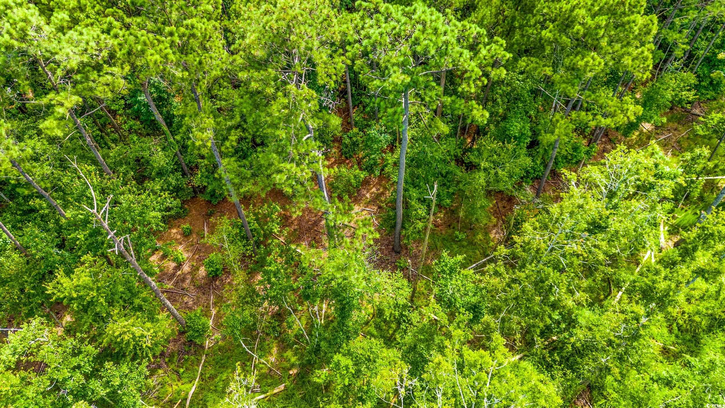 111 Southwest Little River Little River, SC 29566 - Photo 8 of 26
