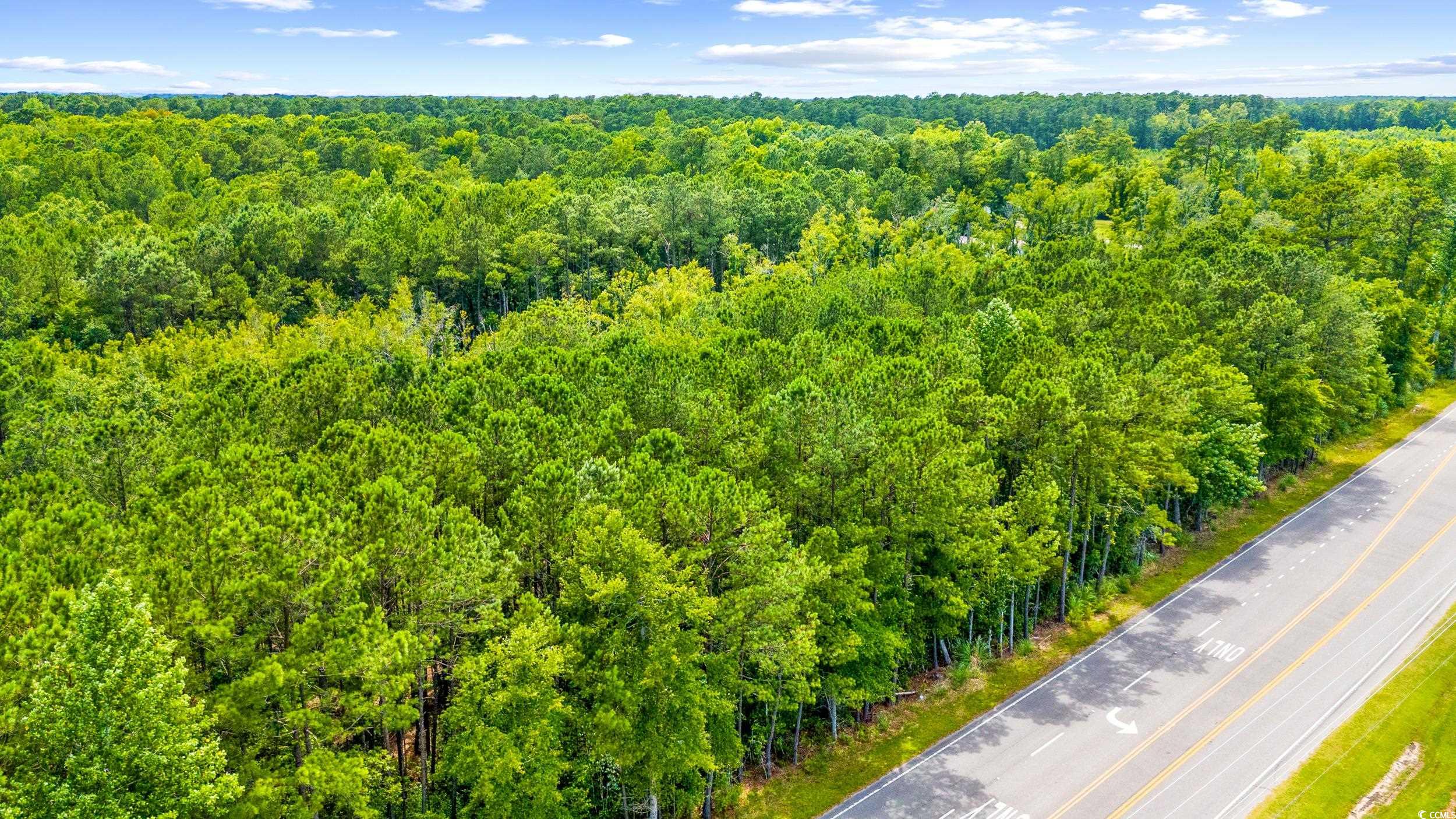 111 Southwest Little River Little River, SC 29566 - Photo 10 of 26