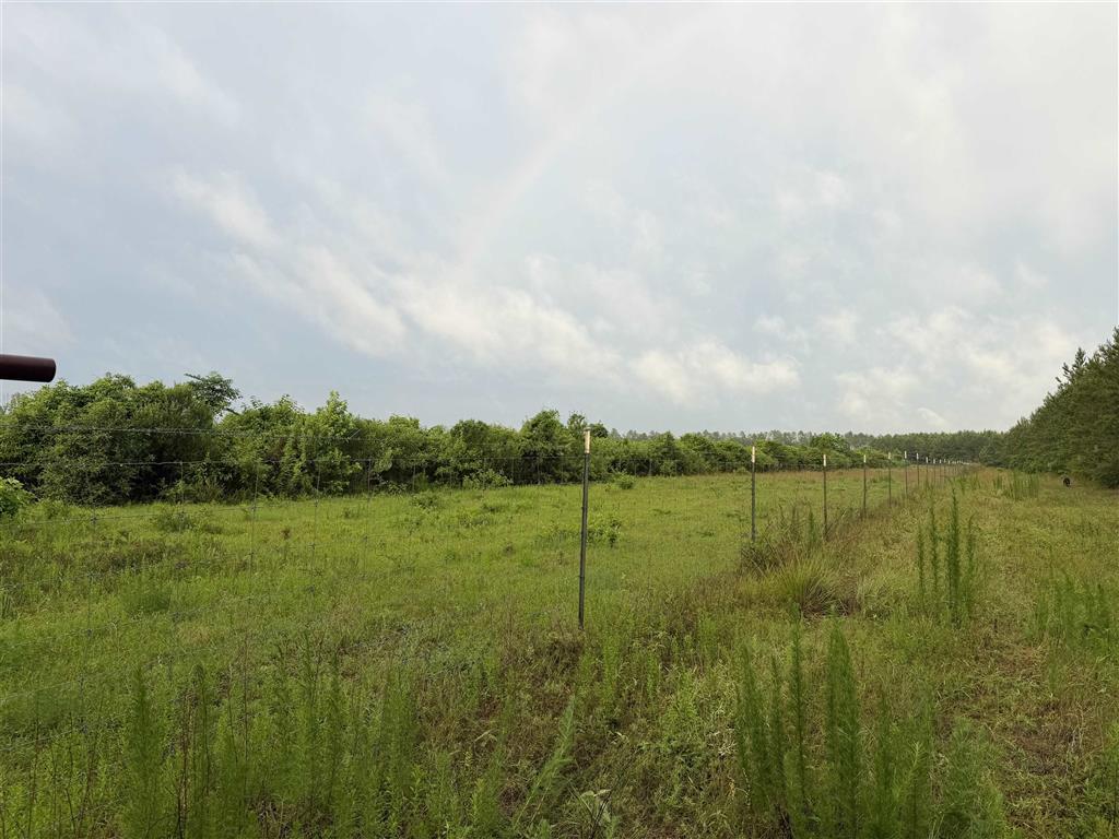 James Manning Road Deridder, LA 70634 - Photo 10 of 10