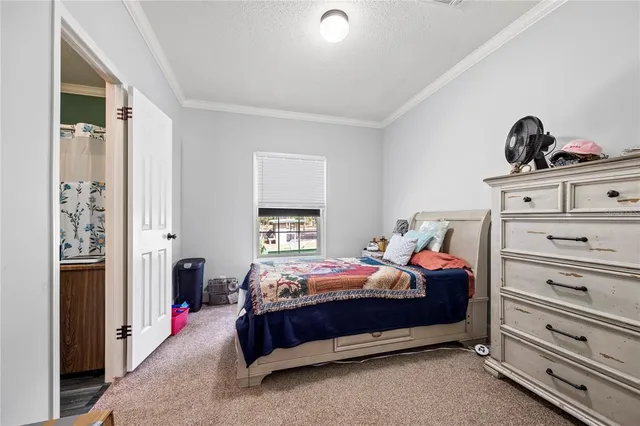 a view of a tree with a yard