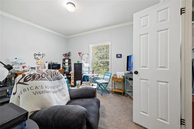 a view of a yard with plants and large trees