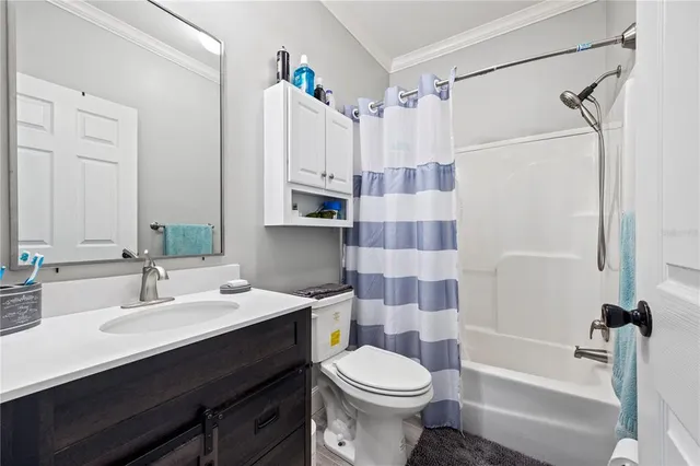 a view of a park with a tree