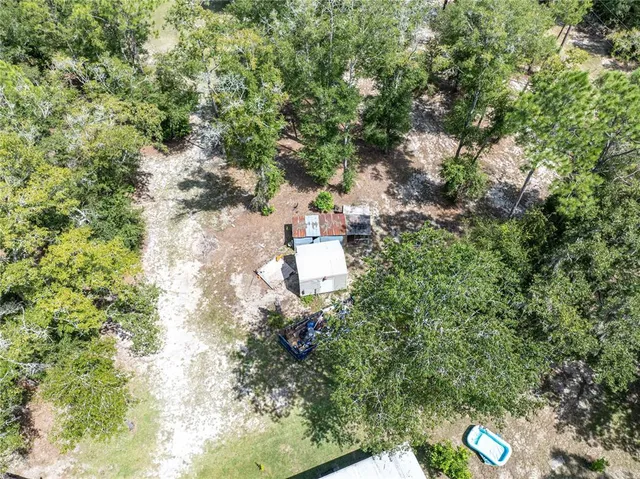 a view of a forest with a houses