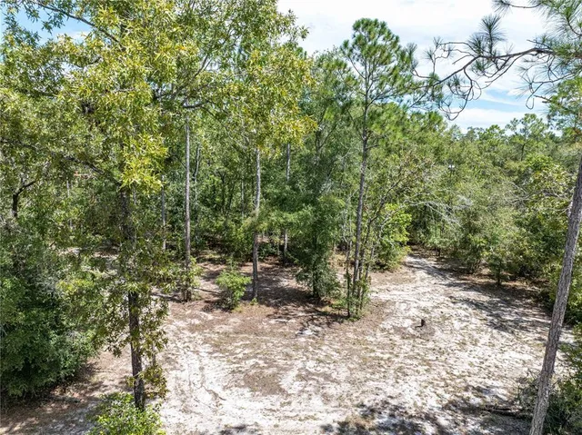 $450,000 | 11160 Northwest 5th Avenue, Branford, FL 32008