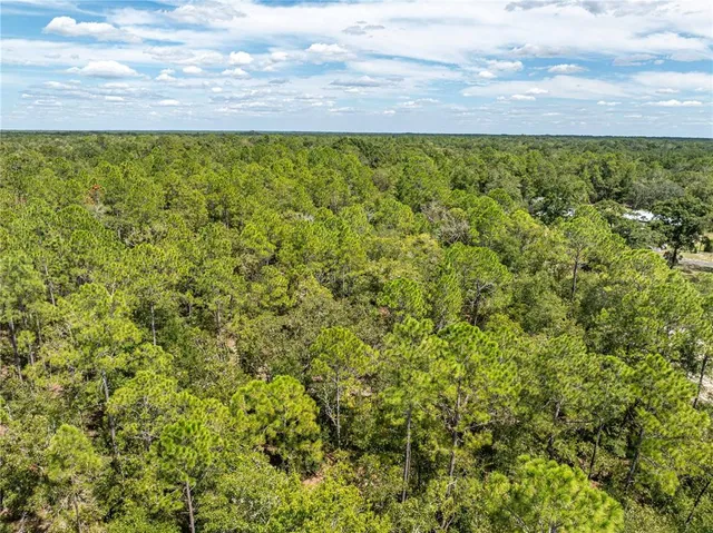 $450,000 | 11160 Northwest 5th Avenue, Branford, FL 32008