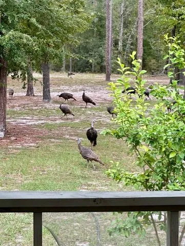 $450,000 | 11160 Northwest 5th Avenue, Branford, FL 32008