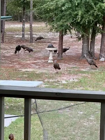 $450,000 | 11160 Northwest 5th Avenue, Branford, FL 32008