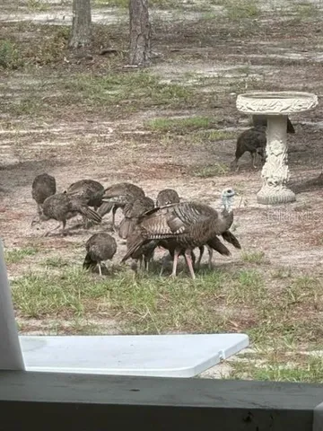 $450,000 | 11160 Northwest 5th Avenue, Branford, FL 32008