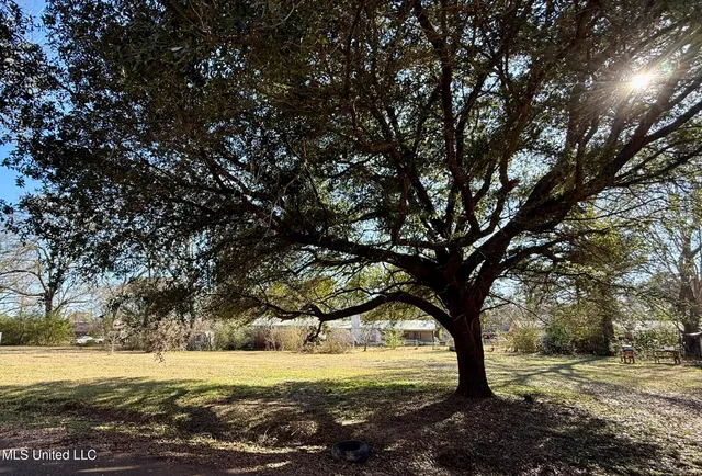 $15,000 | 1242 Tisdale Street, Canton, MS 39046