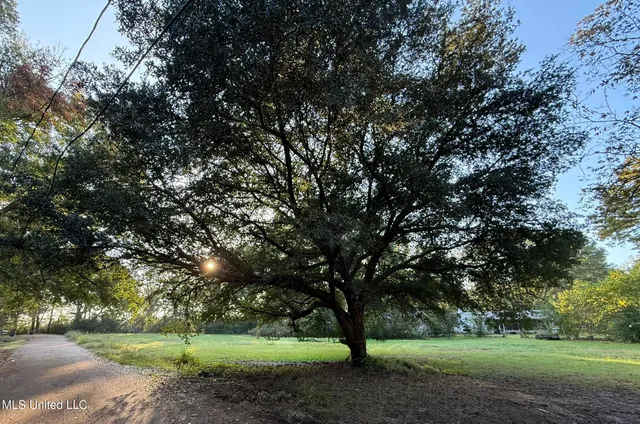 $15,000 | 1242 Tisdale Street, Canton, MS 39046