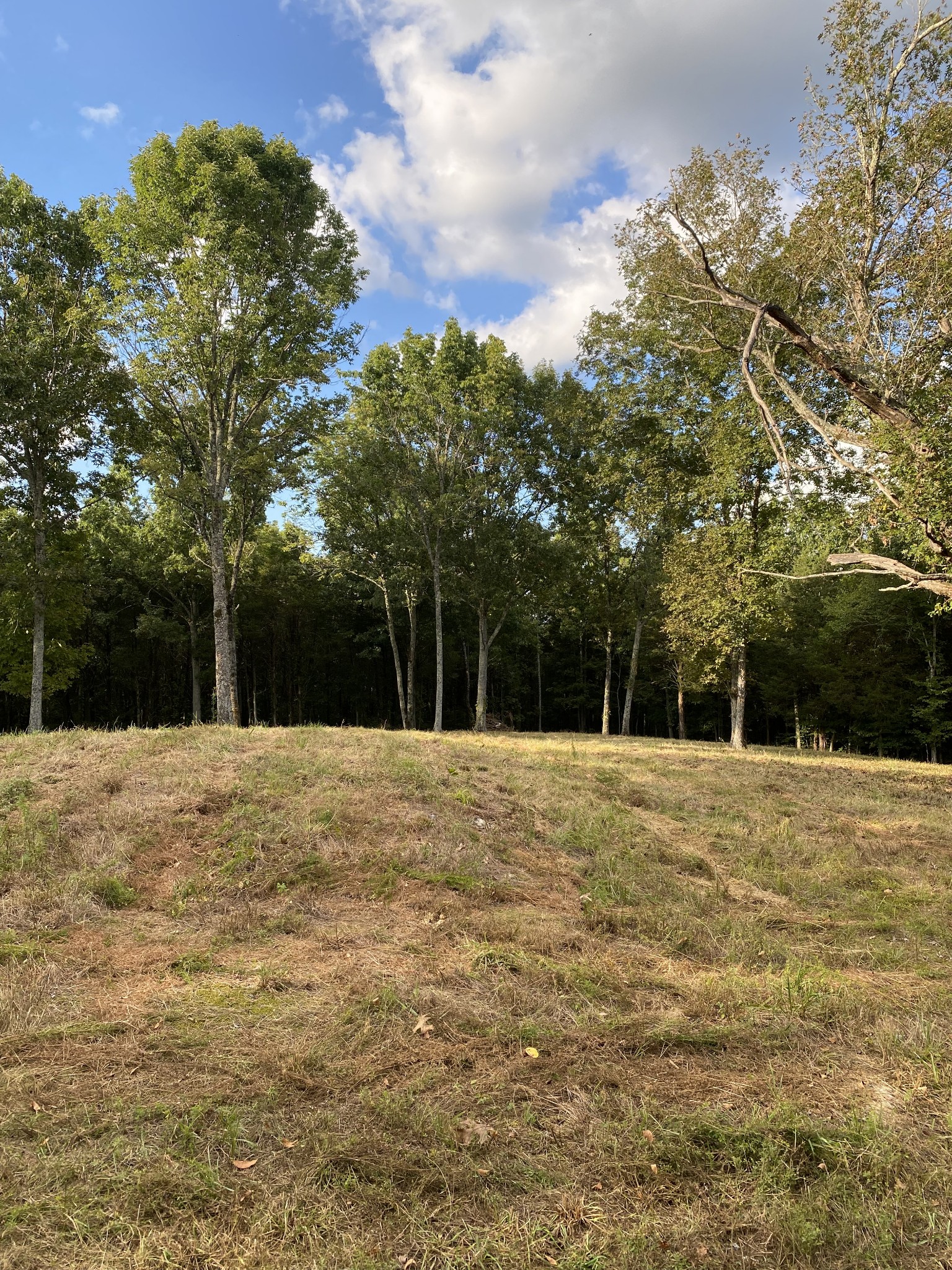 0 Switchboard Road Brush Creek, TN 38547 - Photo 1 of 16 a house with trees in front of it