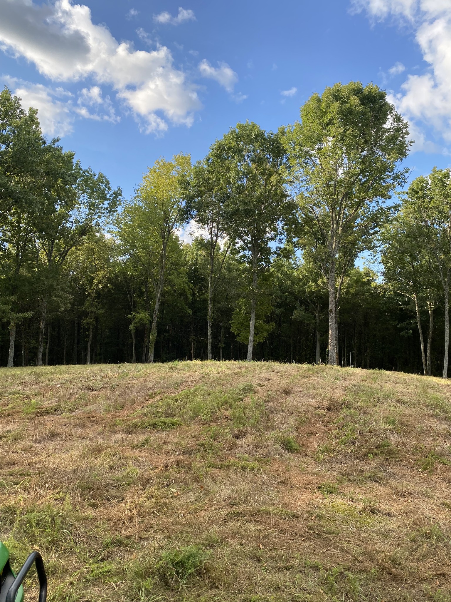 0 Switchboard Road Brush Creek, TN 38547 - Photo 3 of 16 a yard with trees in front of it