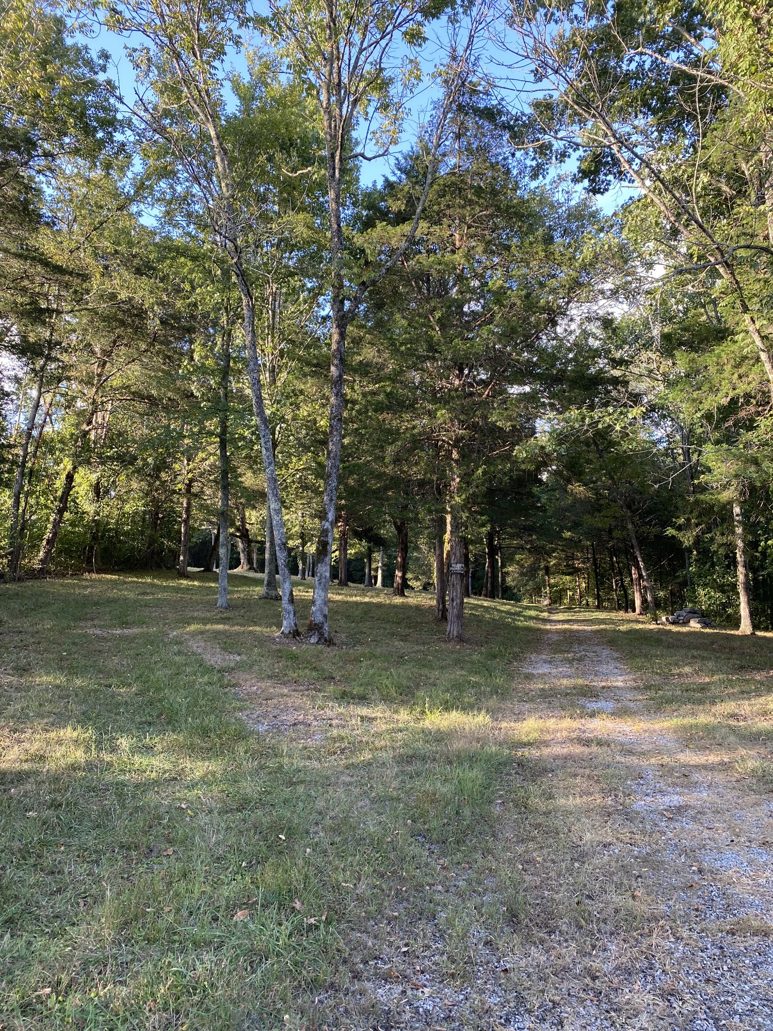 0 Switchboard Road Brush Creek, TN 38547 - Photo 4 of 16 a view of a trees in a yard