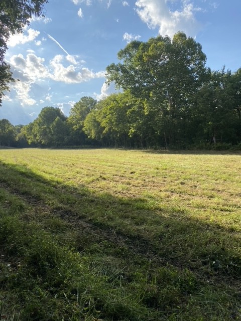 0 Switchboard Road Brush Creek, TN 38547 - Photo 7 of 16 a view of an ocean