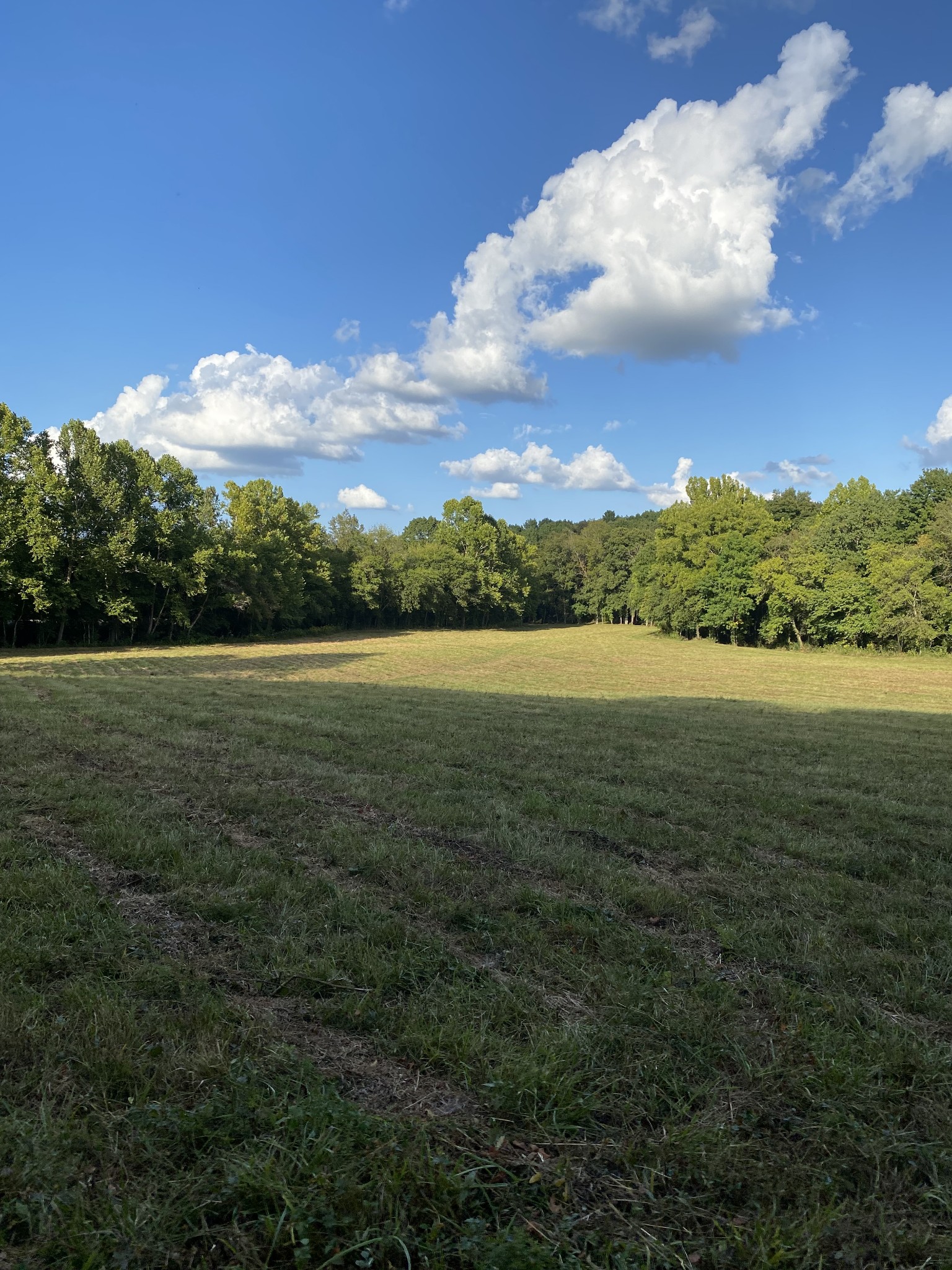 0 Switchboard Road Brush Creek, TN 38547 - Photo 10 of 16 a view of a field with an ocean and trees in the background
