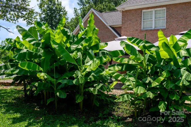 $849,000 | 4594 Grandin Road, Lenoir, NC 28645