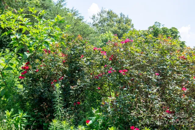 $849,000 | 4594 Grandin Road, Lenoir, NC 28645