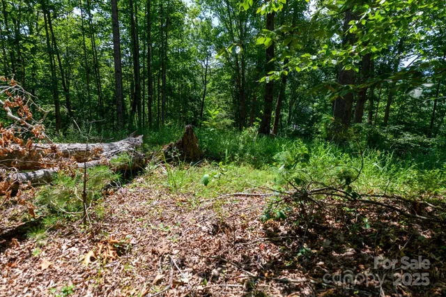 $849,000 | 4594 Grandin Road, Lenoir, NC 28645