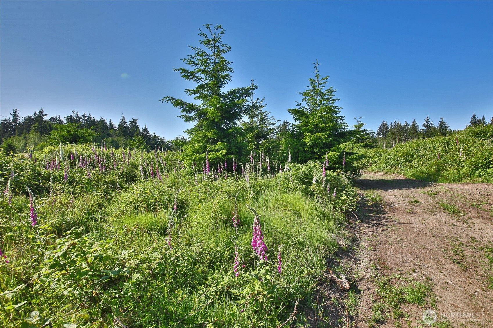 2062 East Goodell Road Freeland, WA 98249 - Photo 14 of 37
