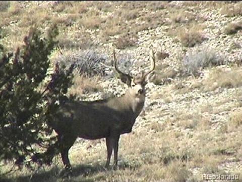 112 County Road Rye, CO 81069 - Photo 4 of 9