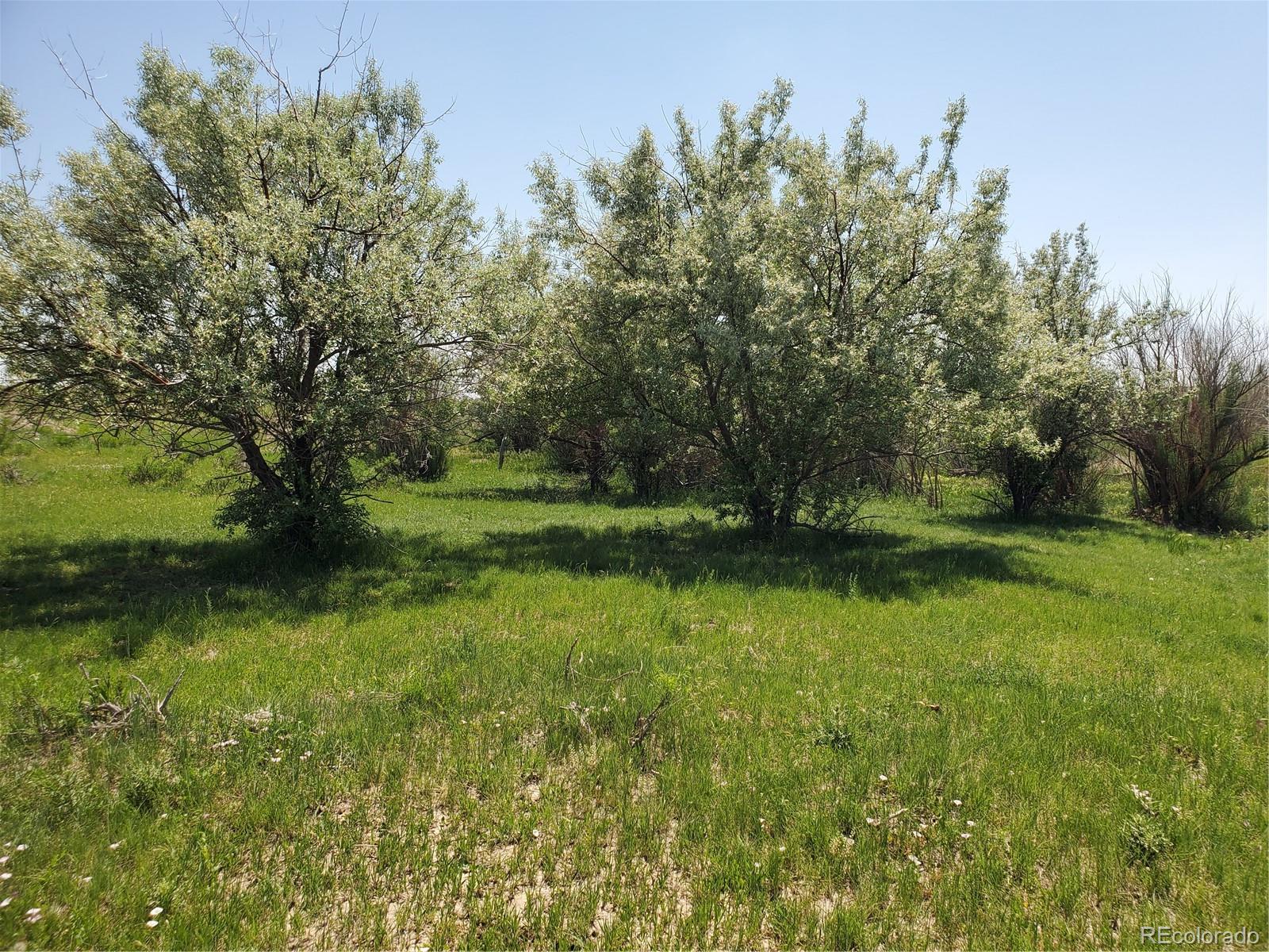 112 County Road Rye, CO 81069 - Photo 9 of 9