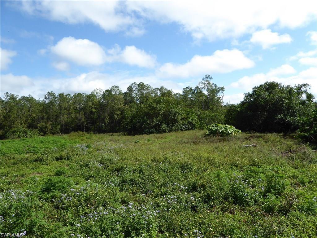 3350 Smith Road Naples, FL 34117 - Photo 1 of 6 a view of a green field with lots of trees in the background