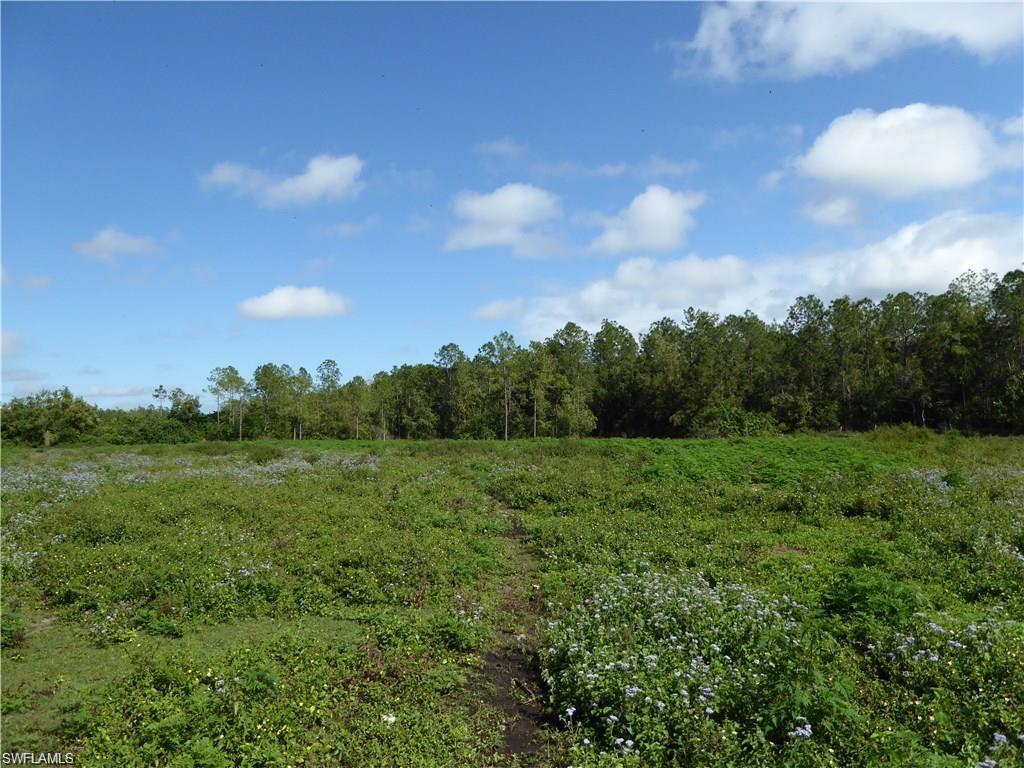 3350 Smith Road Naples, FL 34117 - Photo 4 of 6 a view of a big yard with lots of green space