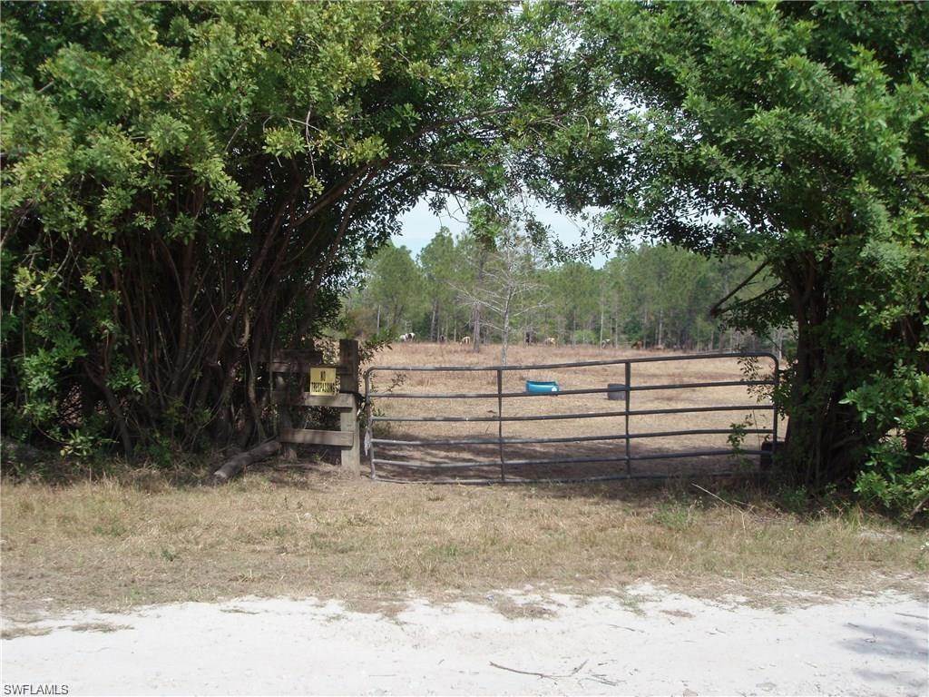 3350 Smith Road Naples, FL 34117 - Photo 6 of 6 a view of backyard with trees