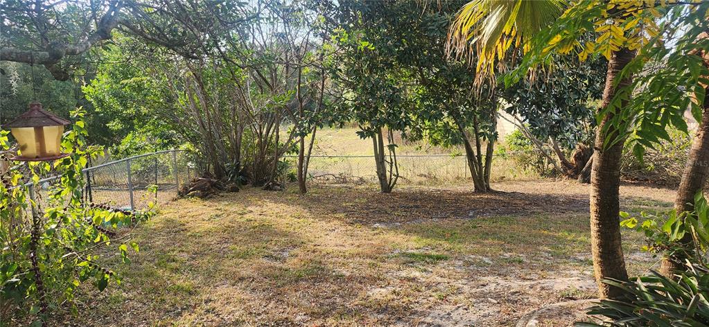 3047 Fisher Avenue Spring Hill, FL 34609 - Photo 48 of 75