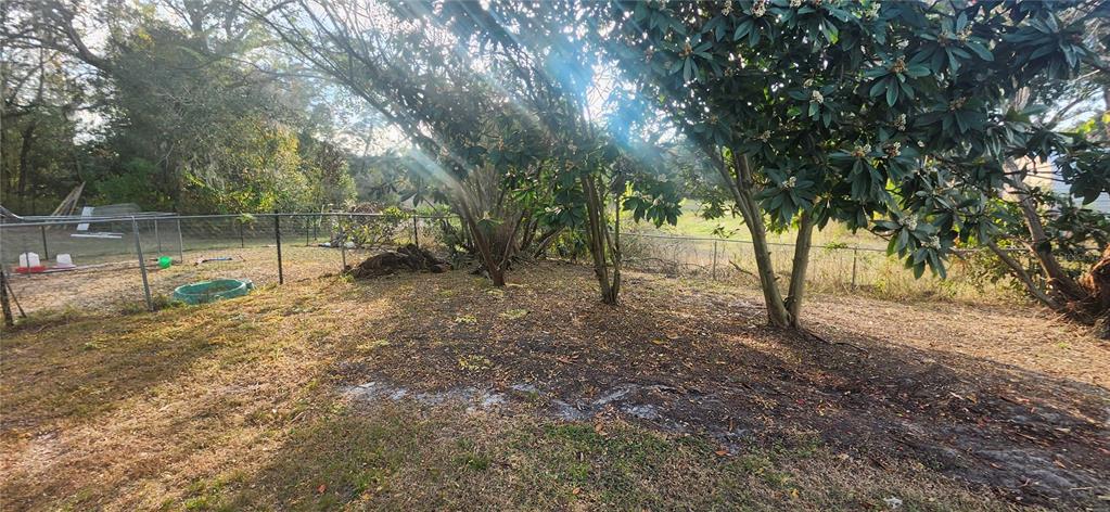 3047 Fisher Avenue Spring Hill, FL 34609 - Photo 52 of 75