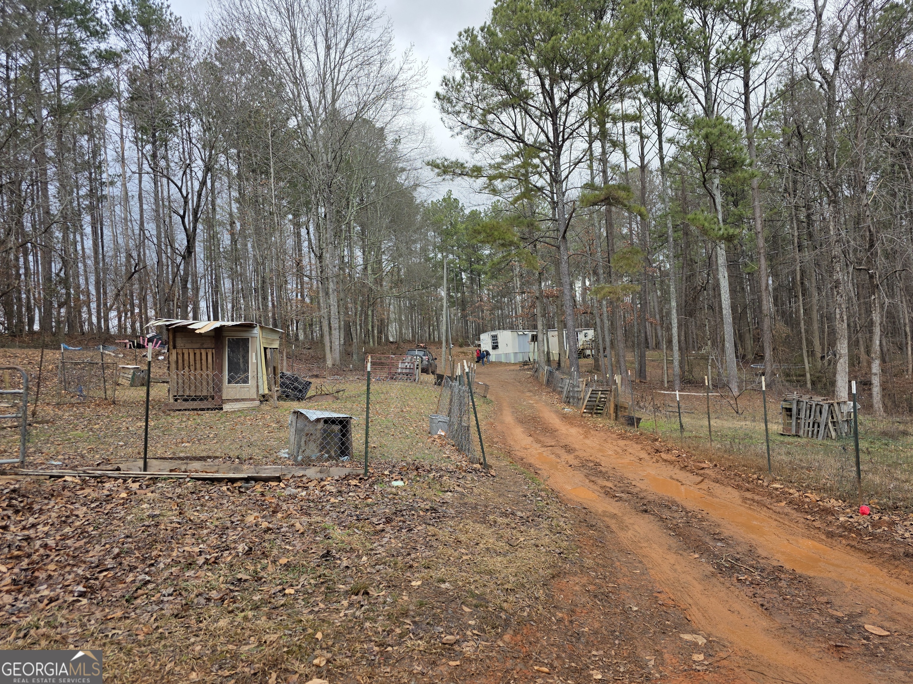 1684 Mandeville Road Bremen, GA 30110 - Photo 2 of 5 a backyard of a house with lots of green space