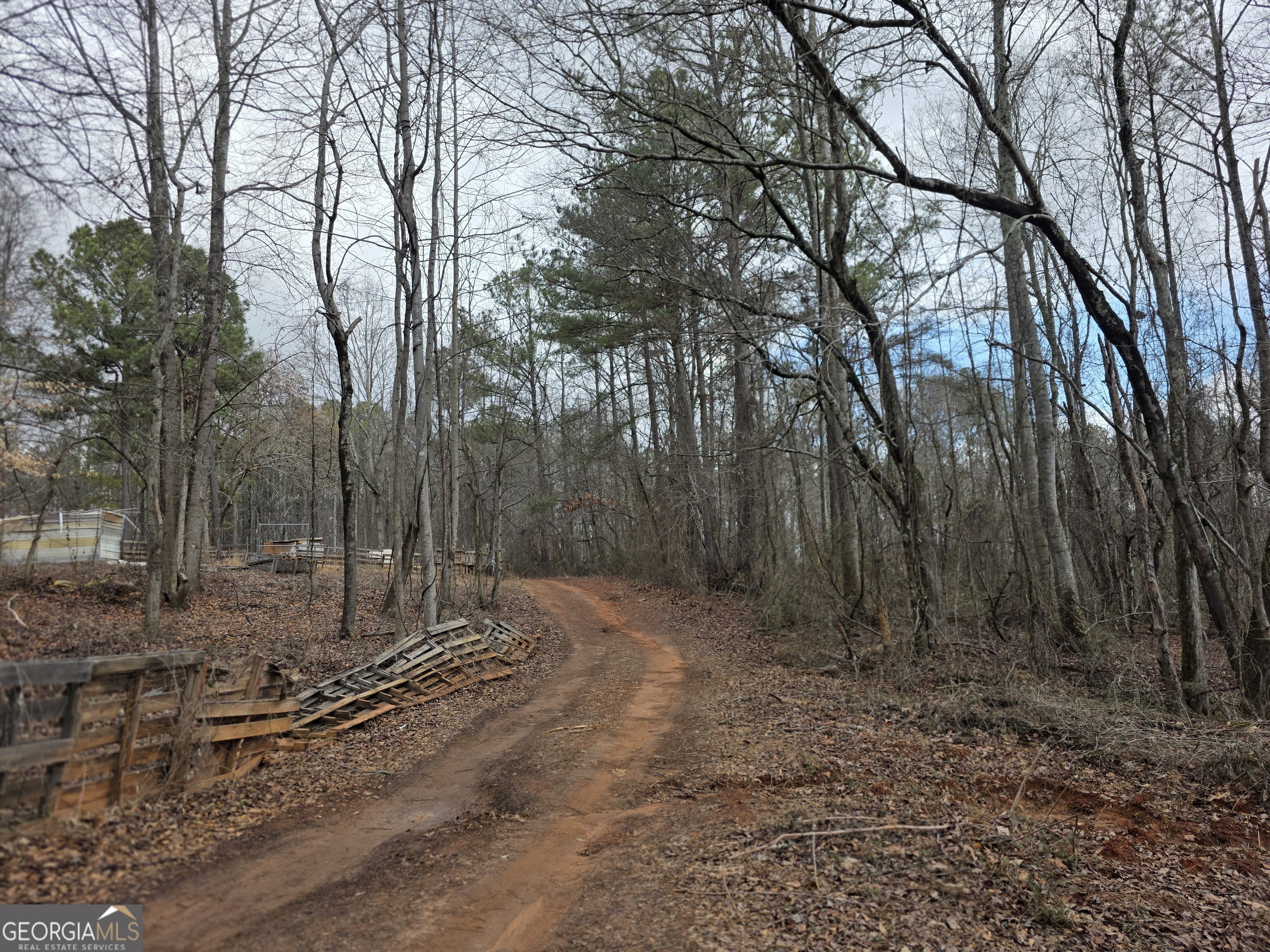 1684 Mandeville Road Bremen, GA 30110 - Photo 3 of 5 a backyard of a house with lots of green space