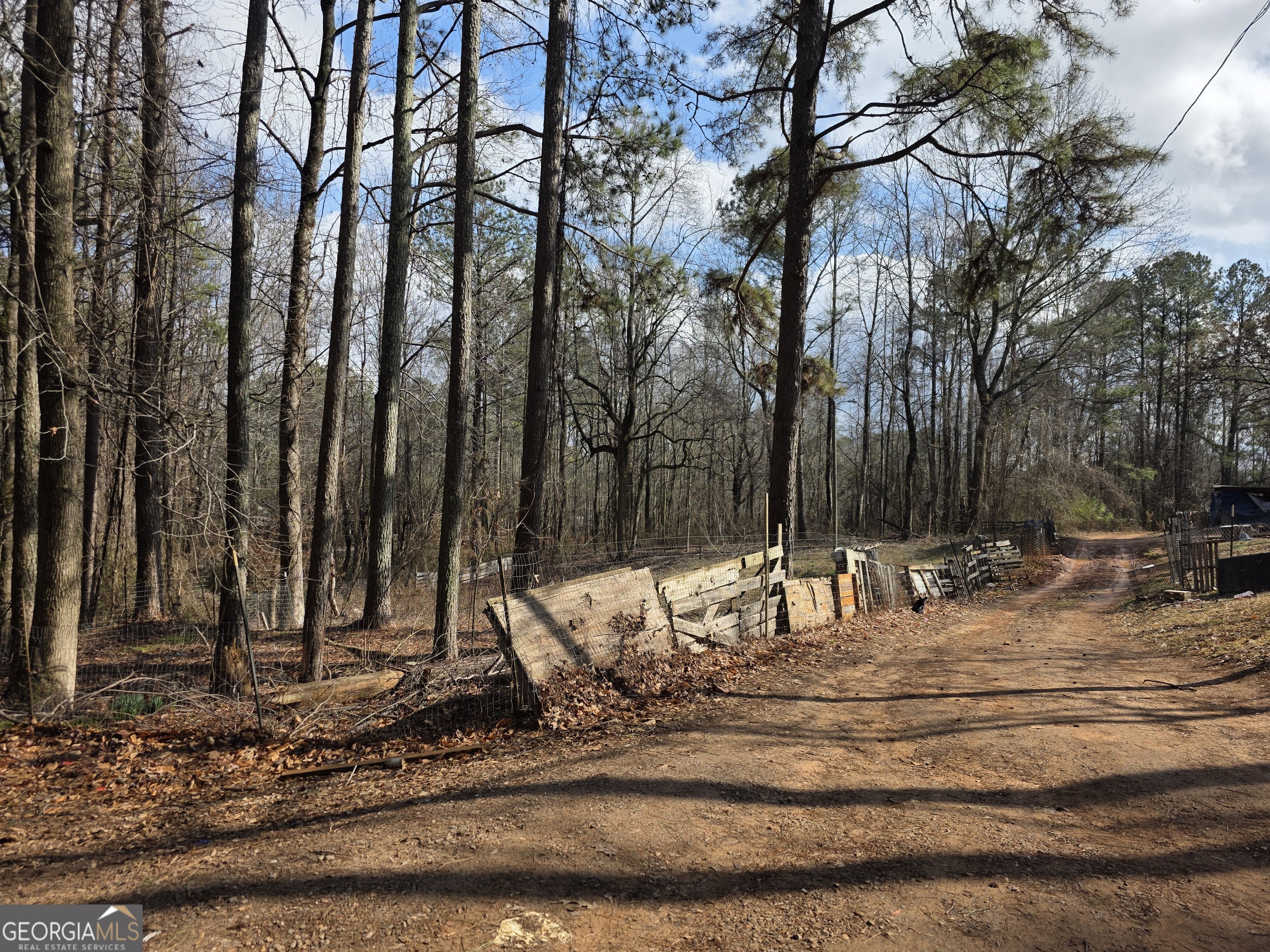 1684 Mandeville Road Bremen, GA 30110 - Photo 4 of 5 a view of a house with a yard