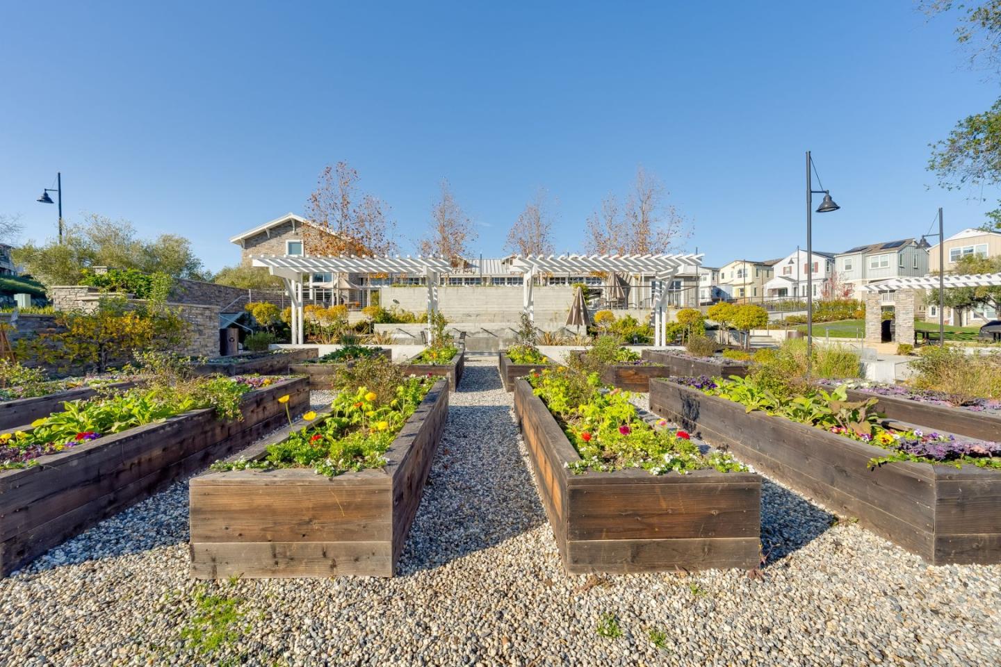 6914 Geyserville Street Dublin, CA 94568 - Photo 33 of 43 a view of a patio with table and chairs potted plants