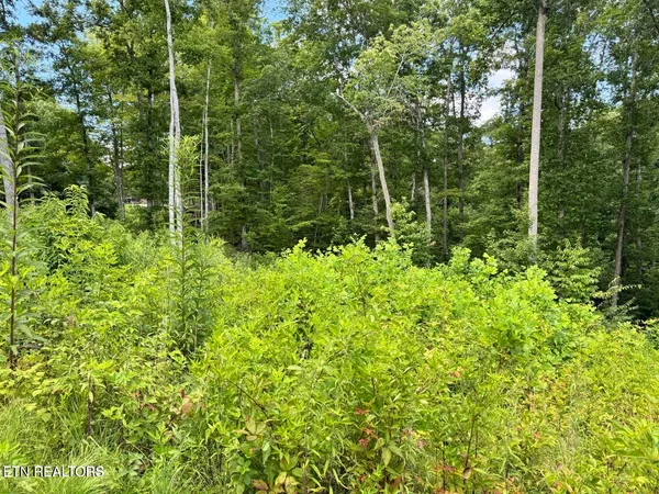 $69,900 | 1291 Buck, Crawford, TN 38554