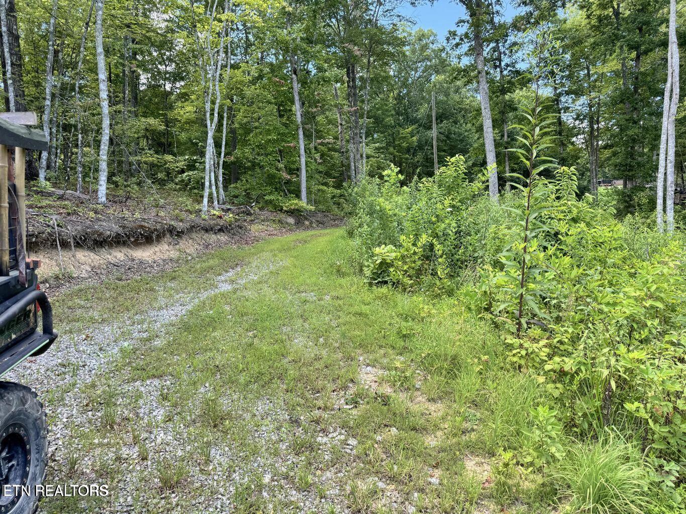 1291 Buck Crawford, TN 38554 - Photo 14 of 27 20250724153137070428000000-o