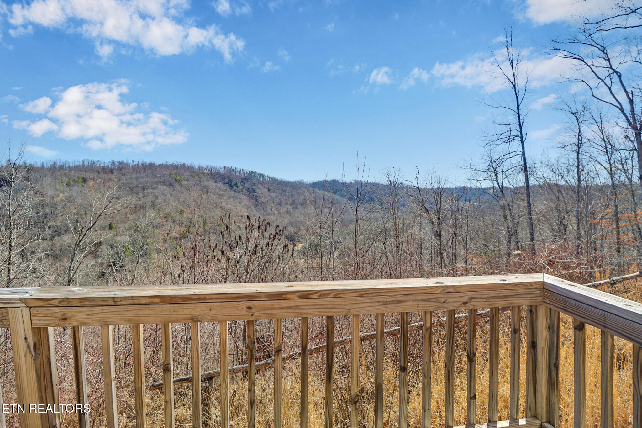 1291 Buck Crawford, TN 38554 - Photo 2 of 27 if1a8569-if1a8573