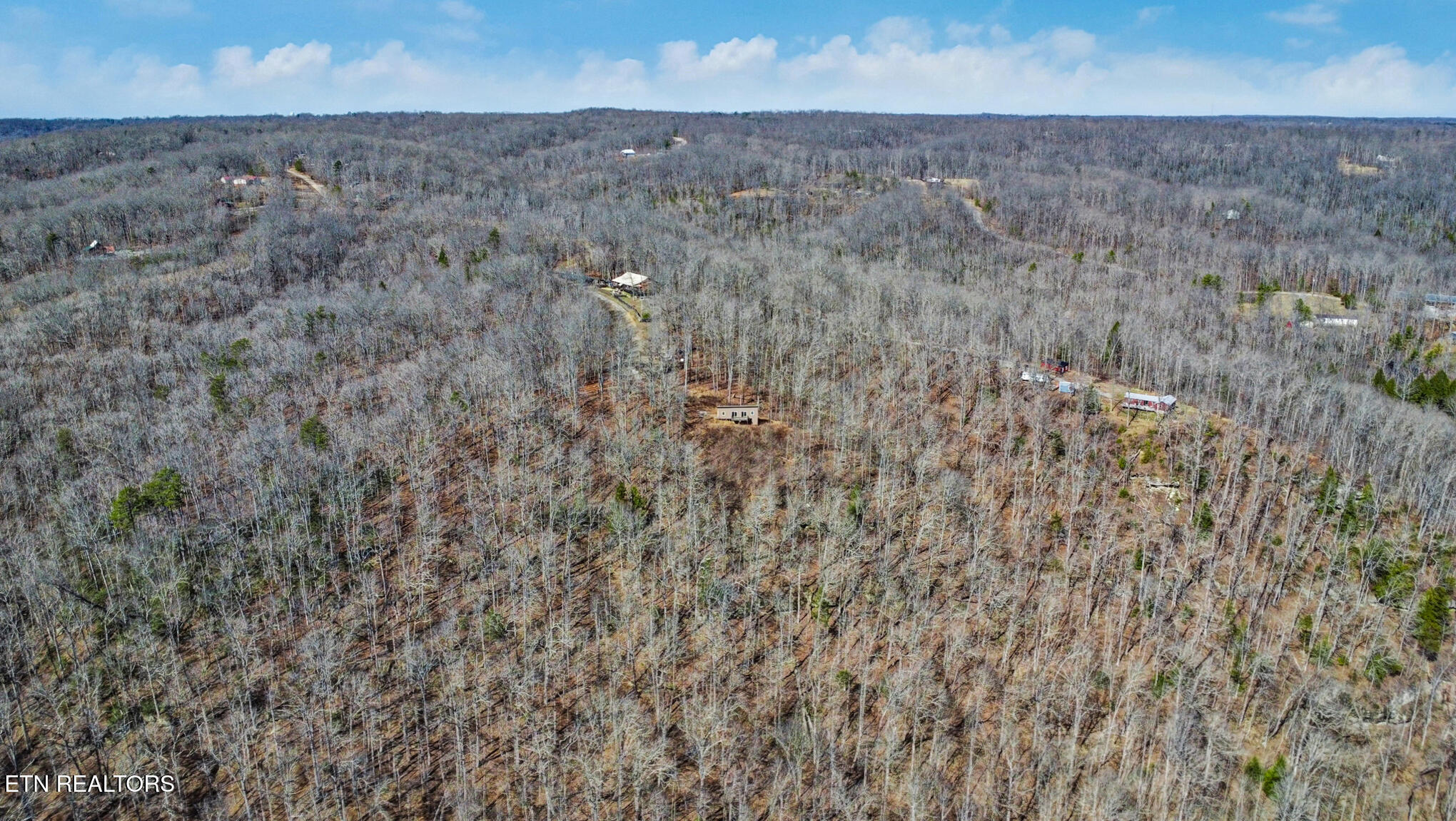 1291 Buck Crawford, TN 38554 - Photo 22 of 27 dji_0110-dji_0112