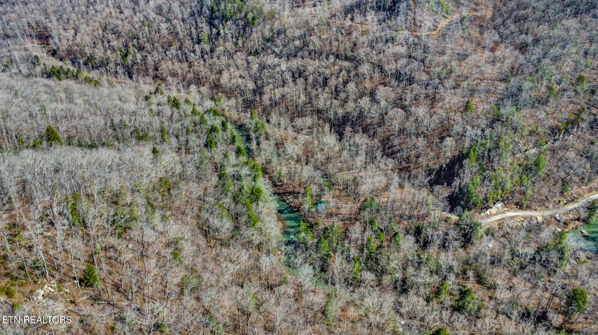 1291 Buck Crawford, TN 38554 - Photo 24 of 27 dji_0134-dji_0136