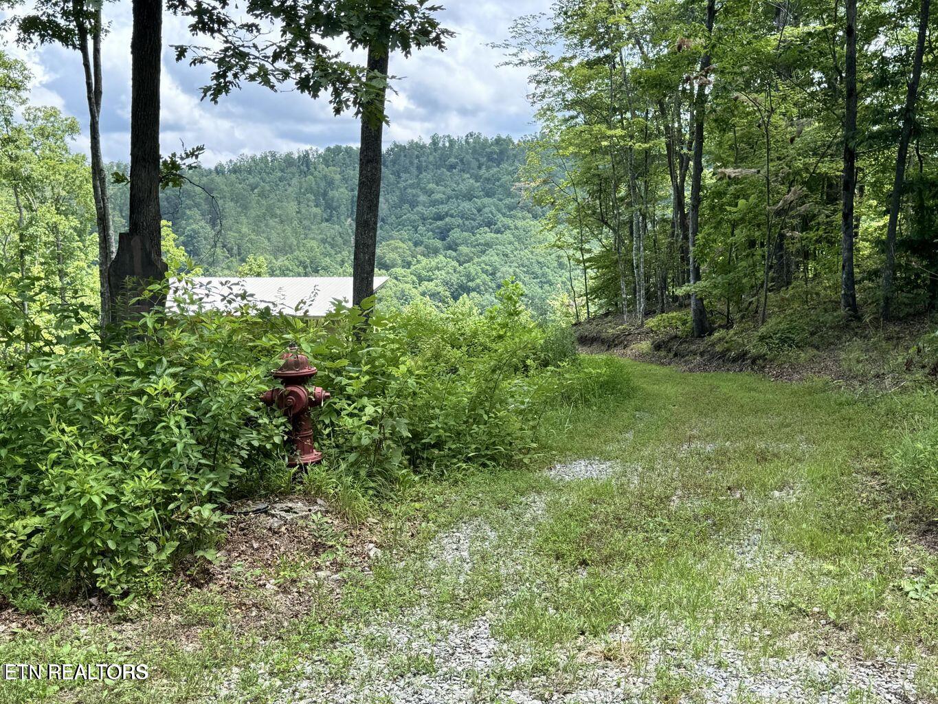 1291 Buck Crawford, TN 38554 - Photo 3 of 27 20250724153146821085000000-o