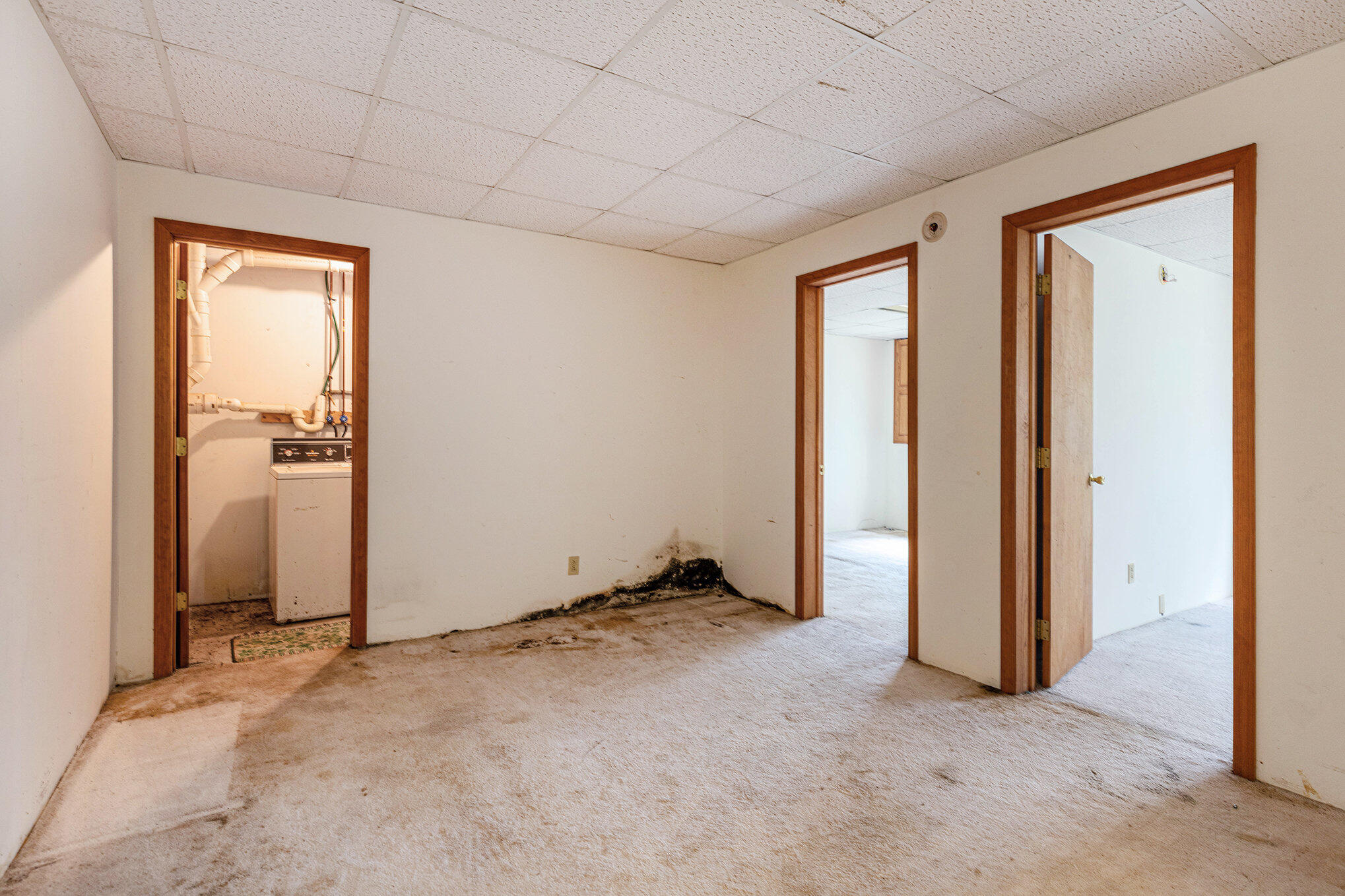 4009 West Long Lake Road Orleans, MI 48865 - Photo 13 of 19 long_lake_15_45