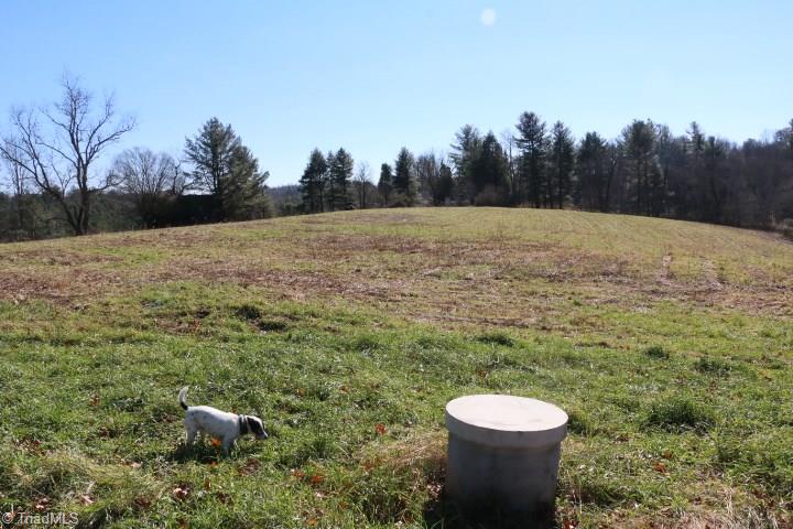 0 Gladesboro Road Fancy Gap, VA 24328 - Photo 17 of 24 Gallery Image 17