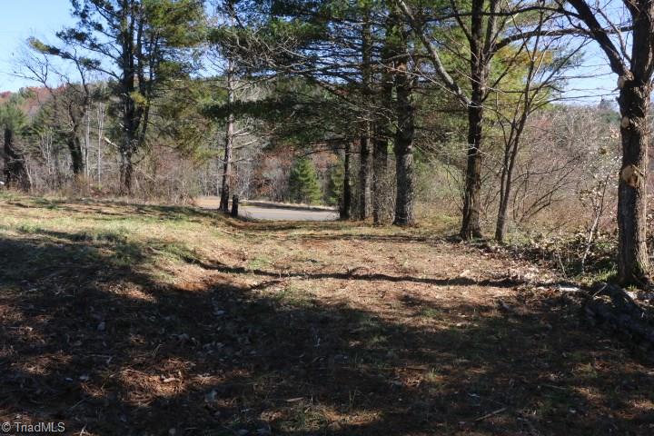 0 Gladesboro Road Fancy Gap, VA 24328 - Photo 8 of 24 Gallery Image 8