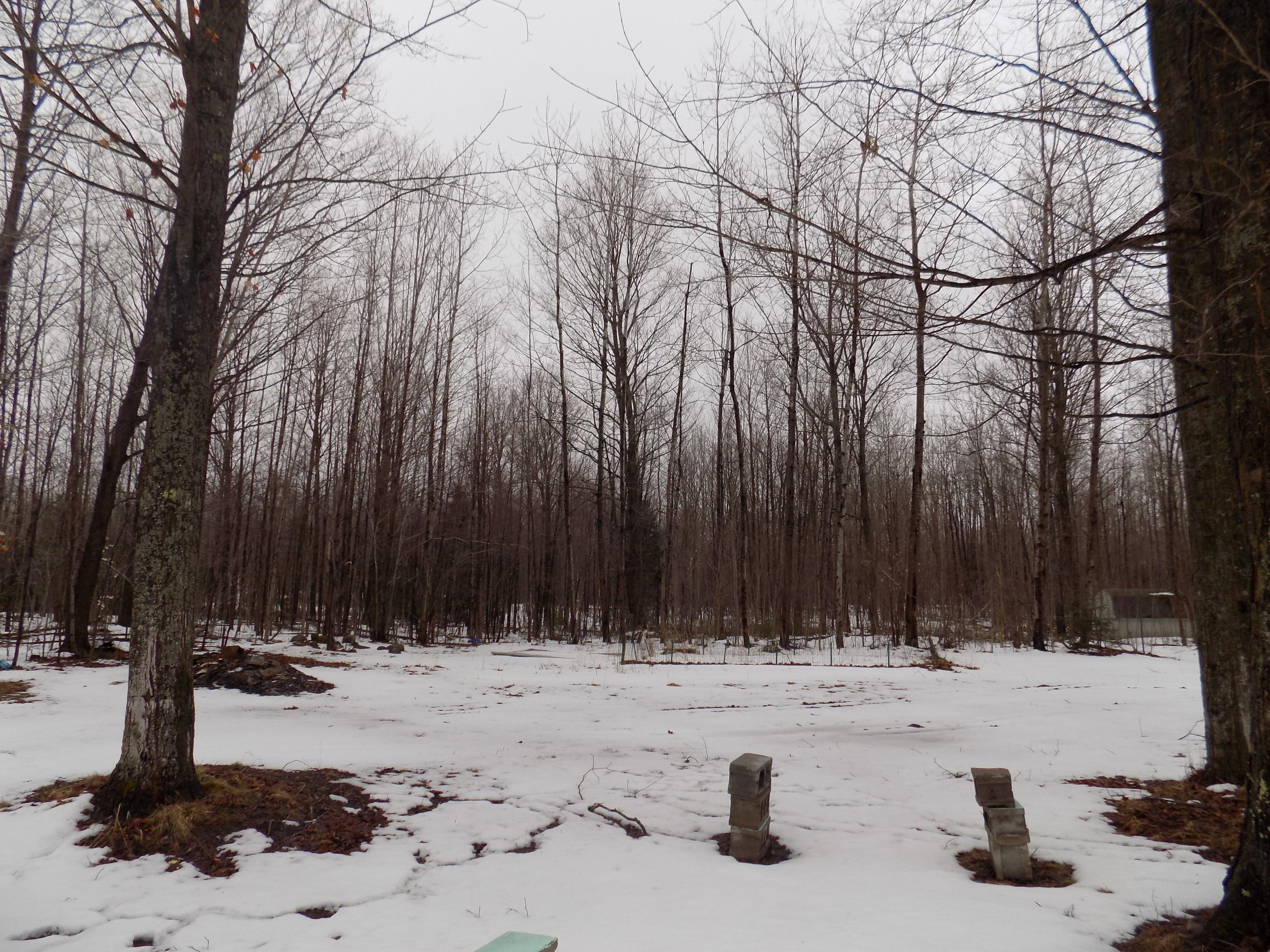 17531 Pleasant Valley Road Atlanta, MI 49709 - Photo 13 of 19 Gallery Image 13