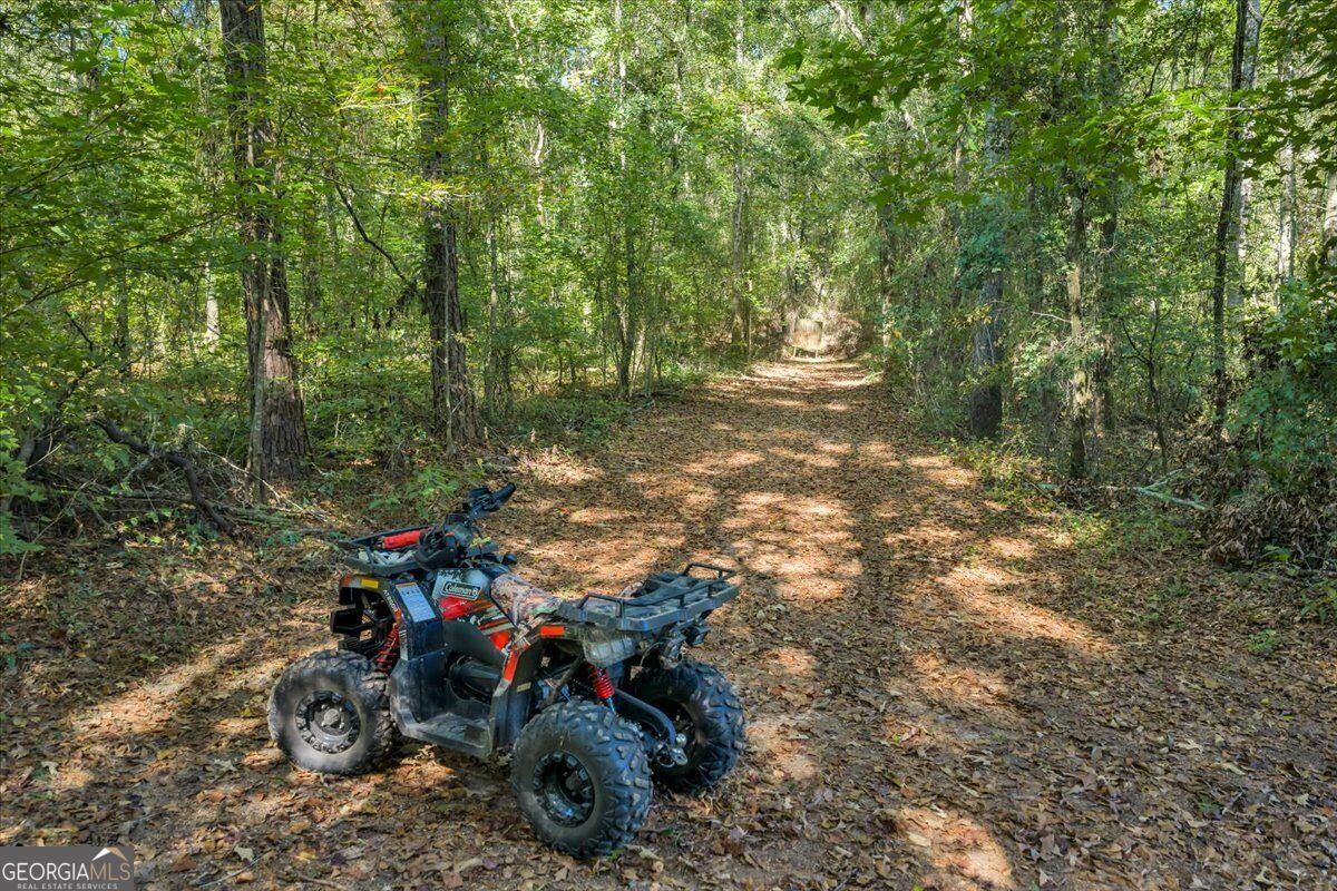 319 Pope Road Roberta, GA 31078 - Photo 75 of 93 Gallery Image 75