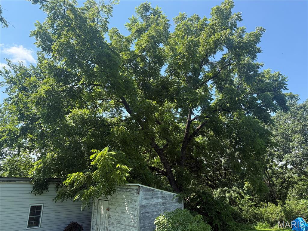 3749 Lahmeyer Road Bland, MO 65014 - Photo 29 of 38