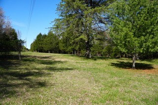 6790 Flat Creek Road College Grove, TN 37046 - Photo 2 of 26