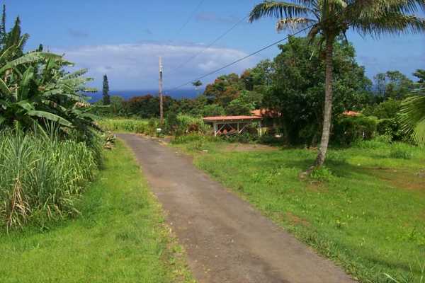 Kalaoa Camp Road Papaikou, HI 96781 - Photo 1 of 11 a view of a garden with a building in the background