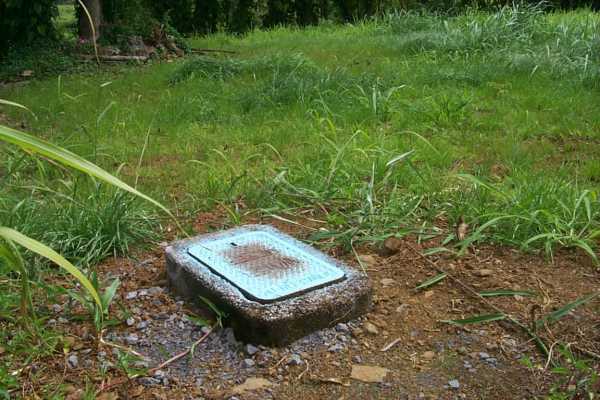 Kalaoa Camp Road Papaikou, HI 96781 - Photo 6 of 11 a view of a bench in the garden