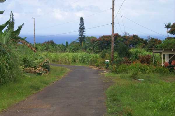 Kalaoa Camp Road Papaikou, HI 96781 - Photo 8 of 11 a view of a garden with potted plants